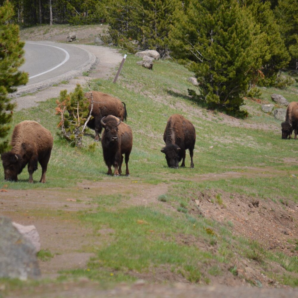 Unlisted Item- Random Pick